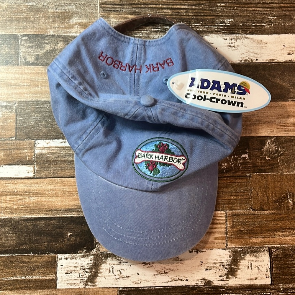 BRAND NEW hat